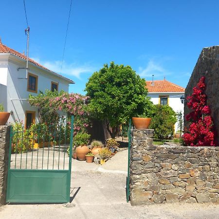 Apartmán O Ninho Do Rei Vila de Rei Exteriér fotografie