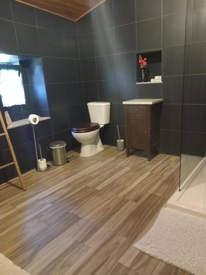 Apartmán O Ninho Do Rei Vila de Rei Exteriér fotografie