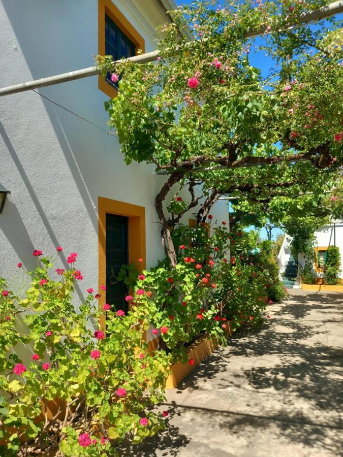 Apartmán O Ninho Do Rei Vila de Rei Exteriér fotografie